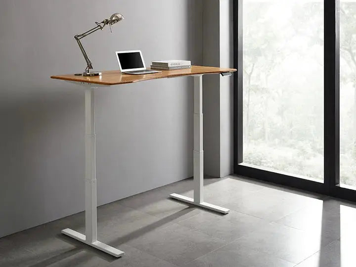 Ascent Hi-Low Desk greenington